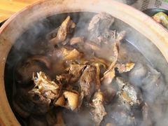-霞姐屯昌枫木香草鸭店(海螺店)