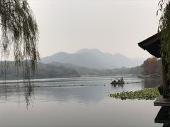 -西院1号(龙井店)