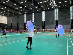 -深圳大运中心世界冠军羽毛球馆