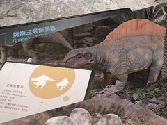 -湖南省地质博物馆