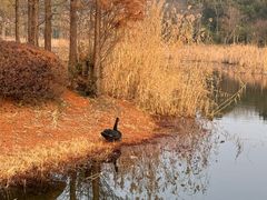-长广溪湿地公园