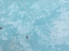 -黄金海岸水上乐园