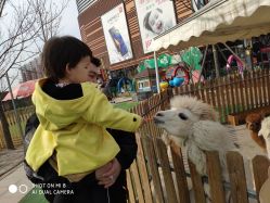 -萌宠亲子动物乐园(槐房万达店)