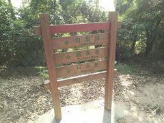 -火炉山森林公园