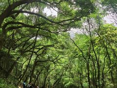 -严子陵钓台(富春江小三峡)