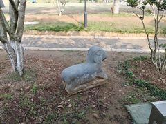 -雨花胜境