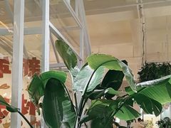 -ins森林童话餐厅coffee&bistro