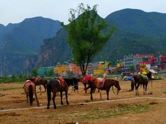 -百里峡七彩艺术小镇