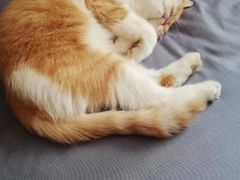 -白色精品·老长沙臭豆腐(文化店)