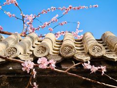 -三里河公园