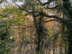 -上海市保健医疗中心