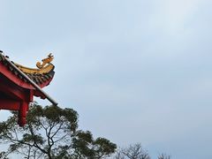 -青城山