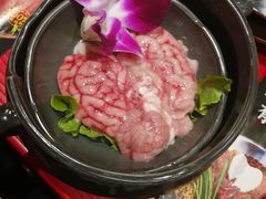 -谭鸭血老火锅(漳州路店)