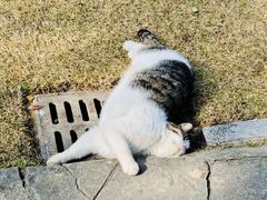 -黄兴公园