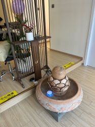 -森林头疗美容养发馆