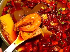 -胡桃里音乐酒馆(石家庄店)