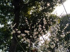 -圩墩遗址公园