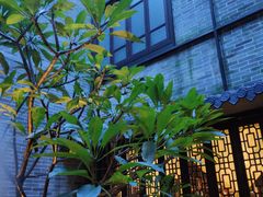 -归觅·西关小姐人文艺术馆(荔枝湾店)