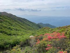 -大围山国家森林公园