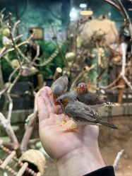 -Zoolung Zoolung动物主题公园(海信广场店)