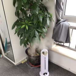 -臣丽纹眉品牌连锁