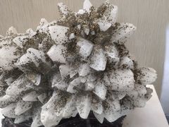 -终南山国家森林公园