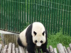 -沈阳森林动物园