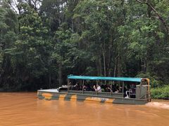 水陸兩用車-热带雨林自然公园