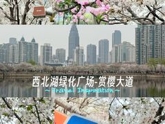 -西北湖绿化广场