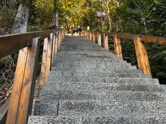 -云碧峰国家森林公园