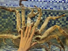 -顺德了能馆(虎门店)