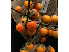 -鸿姐老火锅(静安店)