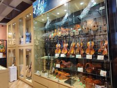 -柏斯琴行(汾阳店)