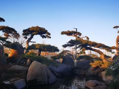 -罗红摄影艺术馆