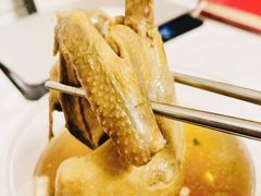 鸽子汤-一厂麻辣猪蹄