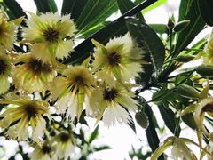 -水濂山森林公园