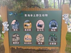 -青藏高原野生动物园