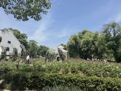 -东湖落雁景区
