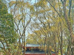 -福清灵石山国家森林公园