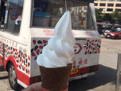 -富豪雪糕车流动点(尖沙咀店)