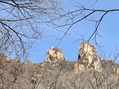 -大岭沟猕猴桃谷风景区