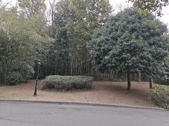 -狼山风景名胜区