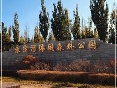 -永定河休闲森林公园