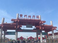 -曹州牡丹园