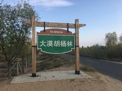 -亿利库布其七星湖沙漠生态旅游区