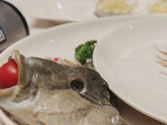 苏眉鱼-榕树下海鲜馆(坪山路店)