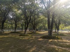 -艾溪湖湿地公园