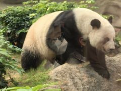 -香港海洋公园