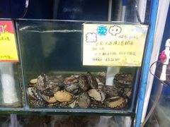 -蚝专家(北滘店)