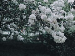 -杭州城北体育公园